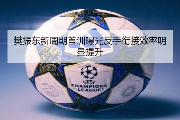 樊振东新周期首训曝光反手衔接效率明显提升